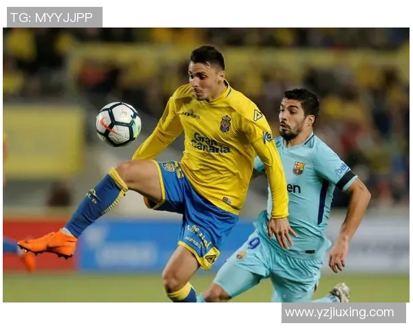 意大利足球明星球迷名单揭晓球迷热情支持偶像球队的背后故事