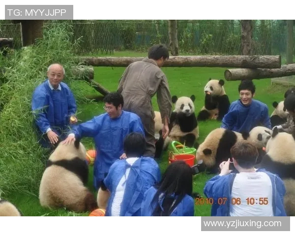 足球明星与大熊猫的奇妙邂逅共同守护绿色地球的梦想与希望